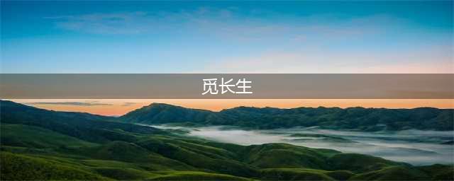《觅长生》新手入坑指南与常见问题解答