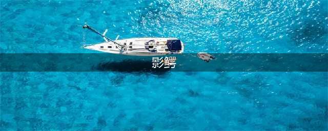阴阳师影鳄怎么获得 阴阳师影鳄获取方法攻略