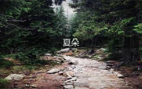 苍蓝境界夏朵怎么样 属性技能一览(夏朵)