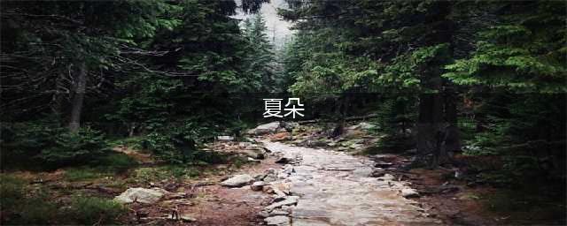苍蓝境界夏朵怎么样 属性技能一览(夏朵)