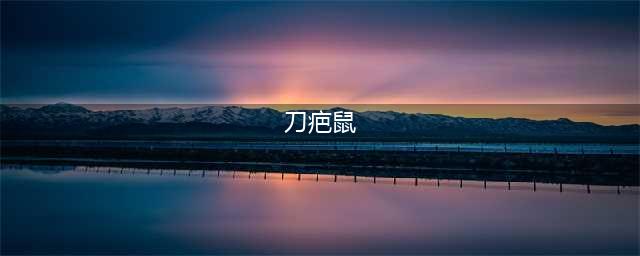 《DNF》记忆印痕刀疤鼠特点分析 记忆印痕刀疤鼠打法详解(刀疤鼠)