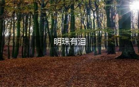 《我的侠客》平凡情缘任务怎么做 平凡情缘任务攻略(明珠有泪)