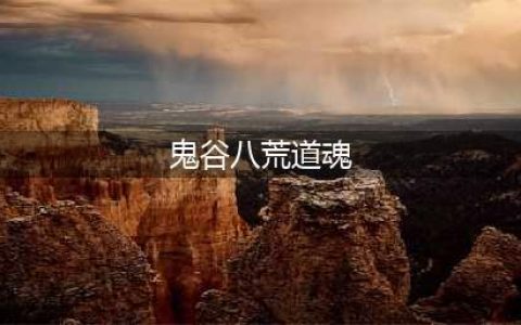 鬼谷八荒道魂领域最佳搭配 鬼谷八荒道魂领域推荐