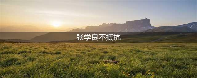 九一八事变，张学良不抵抗是因为愚蠢吗？不，他是有恃无恐(张学良不抵抗)