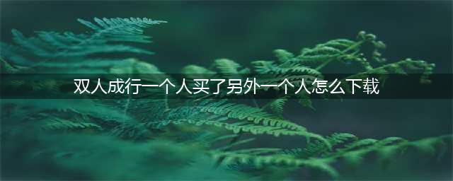 《双人成行》一个人购买另外一个人下载方法介绍