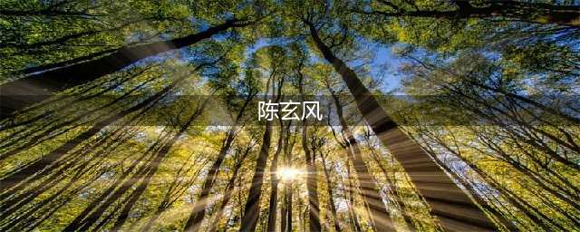 《新射雕群侠传之铁血丹心》陈玄风属性怎么样 陈玄风属性一览(陈玄风)