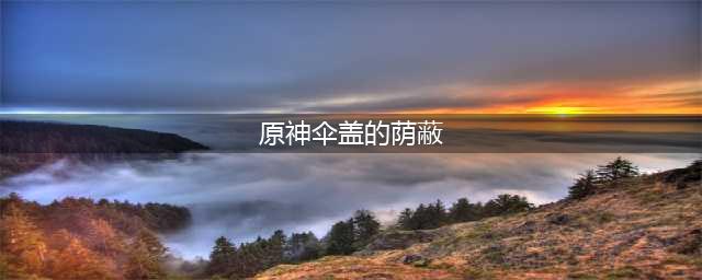 《原神》伞盖的荫蔽解密攻略