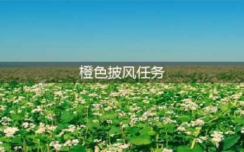 《魔兽世界》8.3橙色披风任务怎么解锁 橙色披风任务解锁流程攻略(橙色披风任务)