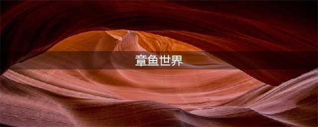 《大千世界》章鱼特点分析 章鱼如何钓(章鱼世界)