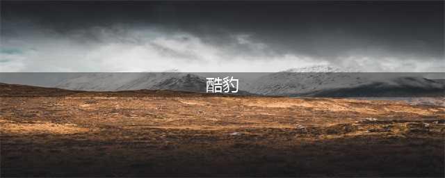 《宝可梦剑盾》酷豹怎么样 酷豹伽勒尔全精灵图鉴(酷豹)