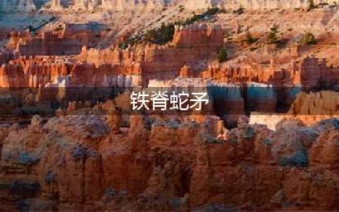 DNF2021魔枪士武器幻化盘点 推荐竹影和铁脊蛇矛(铁脊蛇矛)