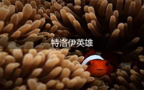 《全面战争传奇特洛伊》英雄版内容详情一览 英雄版价格是多少(特洛伊英雄)