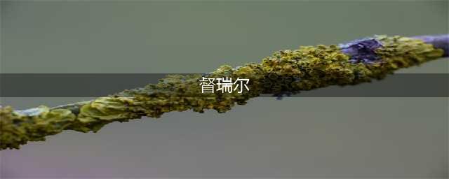 暗黑破坏神2重制版开荒督瑞尔怎么过 督瑞尔攻略解析
