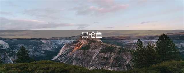 妄想山海黑枪鱼在哪刷