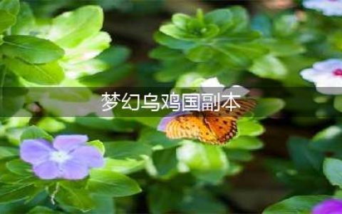 梦幻西游乌鸡国副本通关攻略