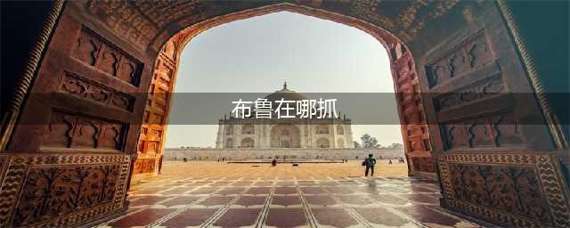 《赛尔号星球大战》布鲁捕怎么获得 布鲁捕捉方法介绍