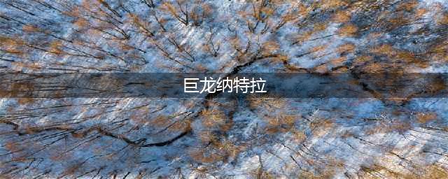 《dnf》巨龙纳特拉的卡片如何获取 巨龙纳特拉的卡片获取攻略(巨龙纳特拉)