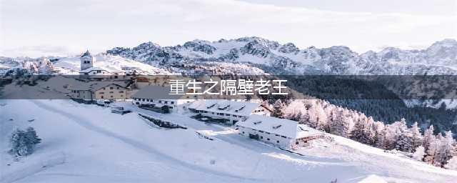 《重生之隔壁老王》中文设置攻略大全(重生之隔壁老王)