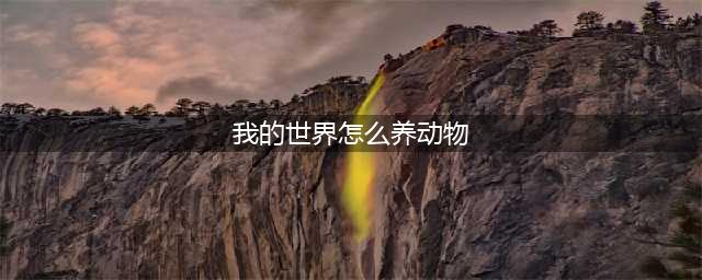 我的世界怎么养动物