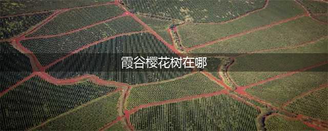 光遇樱花树位置大全