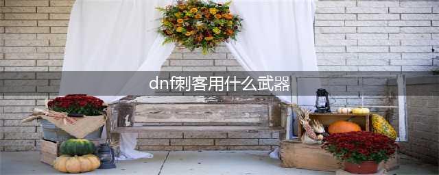 《DNF》刺客毕业武器带什么好 100刺客毕业武器使用推荐(dnf刺客用什么武器)