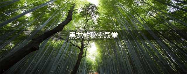 《剑灵》黑龙教秘密殿堂副本咒术技巧(黑龙教秘密殿堂)