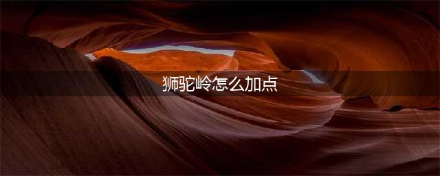 梦幻西游狮驼岭怎么加点 狮驼岭加点攻略