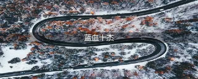 任正非所推崇的蓝血十杰，他们到底是谁？(蓝血十杰)