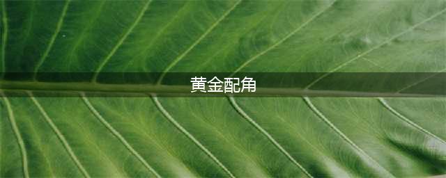 香港电影圈十大黄金配角(黄金配角)