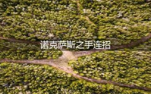 诺克萨斯之手连招口诀(诺克萨斯之手连招)
