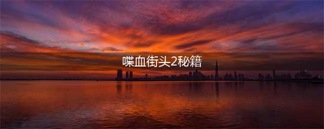 夺命邮差2秘籍有哪些 喋血街头2秘籍大全