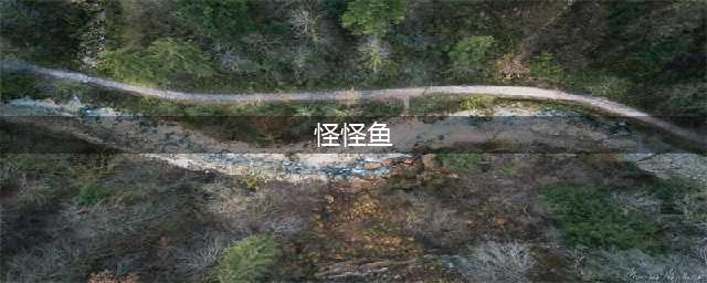 《摩尔庄园手游》怪怪鱼在哪 怪怪鱼位置分享