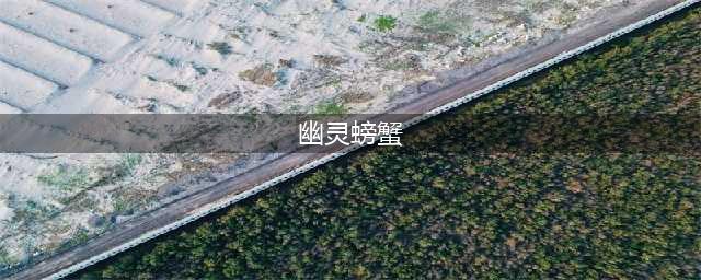 《魔兽世界》鬼脚蟹在哪抓 鬼脚蟹抓捕攻略大全