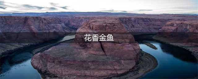 摩尔庄园手游花香金鱼菜谱 花香金鱼配方分享