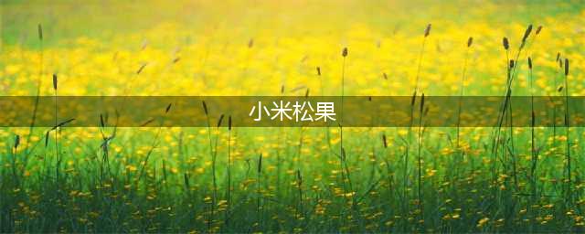 小米自研处理器“松果”正式公布 28日将举办发布会(小米松果)