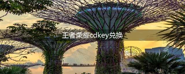 王者荣耀cdkey兑换码大全2022 王者荣耀最新兑换码免费领取(王者荣耀cdkey兑换)