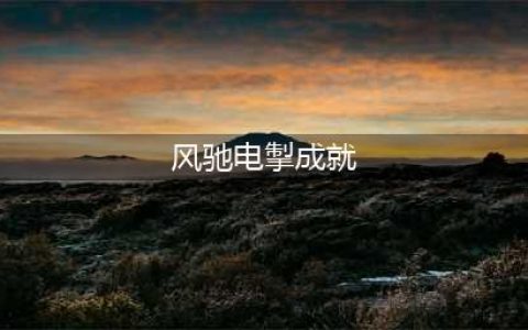 《战国无双5》风驰电掣成就如何达成 风驰电掣奖杯攻略(风驰电掣成就)