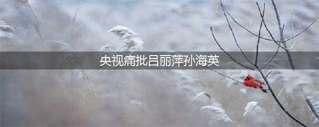 孙海英夫妇：晚年移居美国生活，其言论遭到国人谩骂，为何？(央视痛批吕丽萍孙海英)