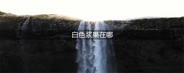 摩尔庄园白色浆果在哪里 摩尔庄园白色浆果具体位置介绍