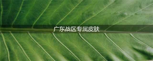 《王者荣耀》广东战区专属皮肤有哪些 广东战区专属皮肤一览(广东战区专属皮肤)