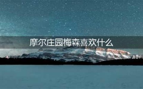 《摩尔庄园》梅森喜欢什么东西 梅森喜好内容一览