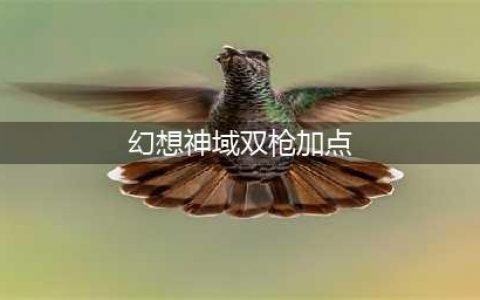 《幻想神域》太刀单刷刷图怎么加点 太刀单刷刷图加点攻略(幻想神域双枪加点)