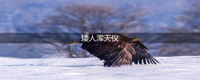 《上古卷轴5》矮人浑天仪怎么激活 矮人浑天仪激活方法一览(矮人浑天仪)