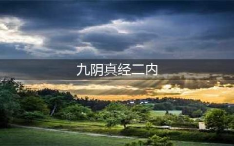 九阴真经神机营二内 九阴真经神机营二内是什么(九阴真经二内)