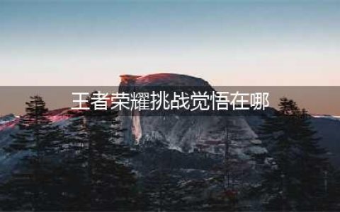 《王者荣耀》挑战觉悟入口在哪 挑战觉悟入口位置一览(王者荣耀挑战觉悟在哪)