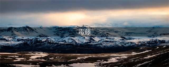 随处可见，千万别碰！华人血泪分享：我在自家后院拔草，竟中了毒藤.......(毒藤)