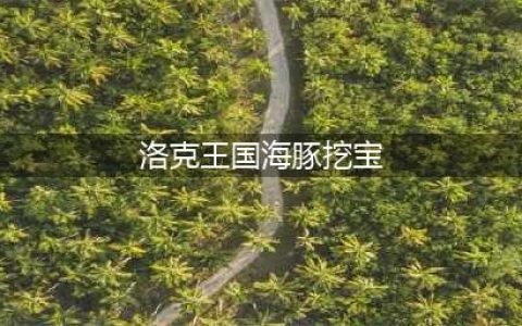 洛克王国海豚挖宝能挖到什么