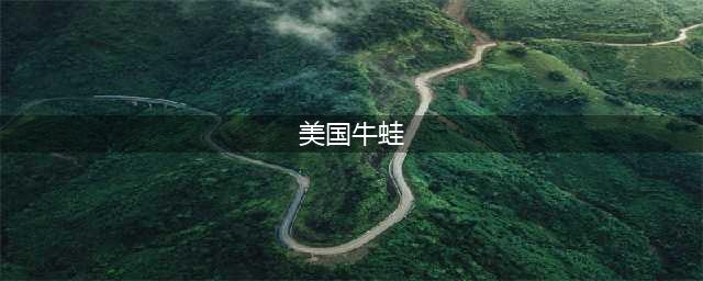 《荒野大镖客2》美国牛蛙怎么样 美国牛蛙图鉴一览(美国牛蛙)