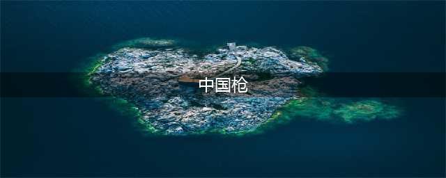 从上世纪到现代，中国的15大国产名枪(中国枪)