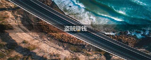盗贼之海赚钱方法汇总